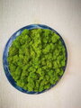 Mechový kruh průměr 35cm