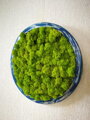 Mechový kruh průměr 35cm