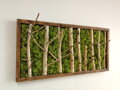 Machovo-brezový obraz 65cm x 130cm 