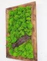 Mechový obraz s přírodním dřevem 50cm x 30cm