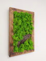 Mechový obraz s přírodním dřevem 50cm x 30cm