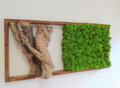 Mechový obraz s exkluzivním dřevem 40cm x 85cm