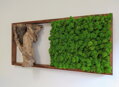 Mechový obraz s exkluzivním dřevem 40cm x 85cm