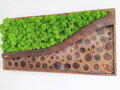 Mechový obraz s epoxidem 50cm x 100cm 