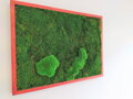 Machový obraz z plochého + kopčekového machu 50cm x 60cm