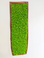 Mechový obraz v dřevěném rámu 170 cm x 50cm