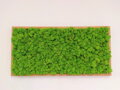 Mechový obraz 40cm x 80cm 