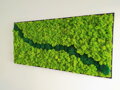 Mechový obraz v černém rámu 57cm x 123cm