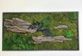 Mechový obraz-lesní + provence mech a kůra 50cm x 100cm