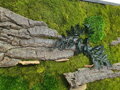 Mechový obraz-lesní + provence mech a kůra 50cm x 100cm