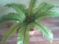 Umělá rostlina- Kapradina 40 cm