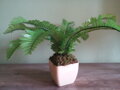Umělá rostlina- Kapradina 40 cm