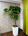 Umělý strom Javor exclusive 200cm 