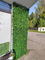 Umělý živý plot-buxus 50cm x 50cm