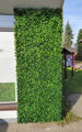 Umělý živý plot-buxus 50cm x 50cm