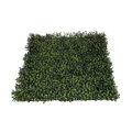 Umělý živý plot-buxus 50cm x 50cm