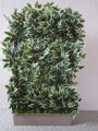Dekoračná zástena fíkus  160 cm x 100 cm
