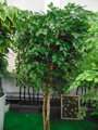 Umělý strom- Bříza 200 cm