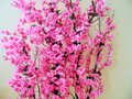 Zástěna sakura 135 cm x 90 cm