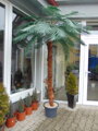 Umělá exteriérová palma 230cm