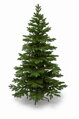 Smrk Alpský 3D- 200cm