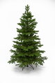 Smrk Alpský 3D- 200cm