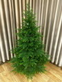 Smrk Beskydský 100% 3D- 190cm 