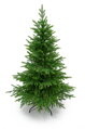 Smrk Beskydský 100% 3D- 225cm 