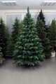 Jedľa Lux 220 cm