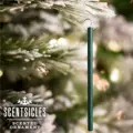 Vonné tyčinky na stromeček - White Winter Fir - 6ks