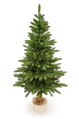 Jedle Karpatská na kmeni- 220cm