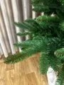 Jedle Karpatská na kmeni- 220cm