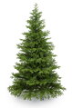Smrek Tirolský 3D- 260cm 