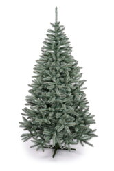 Vánoční stromky nad 180 cm