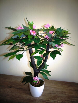 Kvetouci bonsaj růžový
