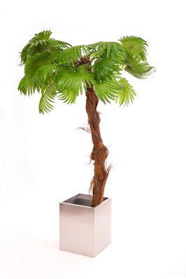 Umělá Washingtonská palma 280cm