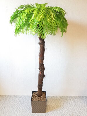 Umělá palma- světlá s kůrou 160 cm