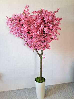 Kvitnúci strom- sakura 160cm 