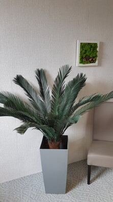  Umělá rostlina Cykas 160 cm