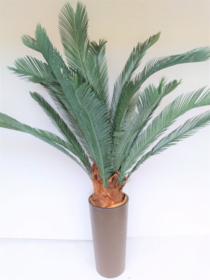  Umělá rostlina Cykas 175 cm
