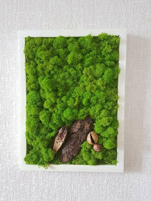 Mechový obraz v bílem rámu 40cm x 30cm
