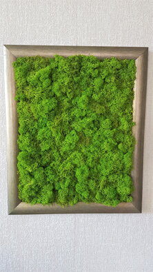 Mechový obraz 48 cm x 38 cm