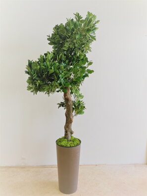 Umělý strom- Olivovník 200cm