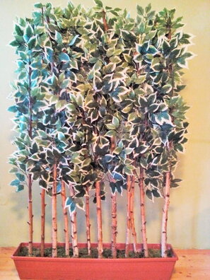 Dekorační zástěna fíkus 160 cm x 100 cm