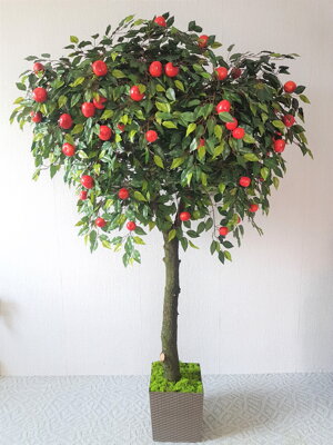 umelé ovocné stromy 