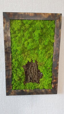 Mechový obraz s přírodním dřevem 50cm x 30cm