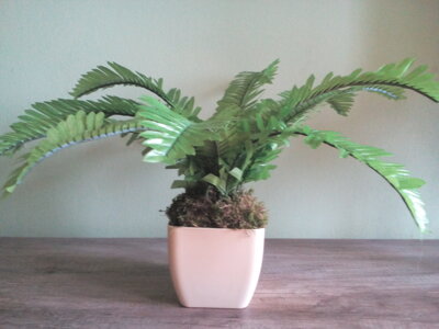 Umělá rostlina- Kapradina 40 cm