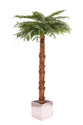 Umělá kokosová palma 230cm