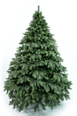 Borovice Aurora široká 3D- 170cm