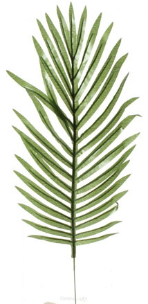 Umělý palmový list tmavý - 50cm